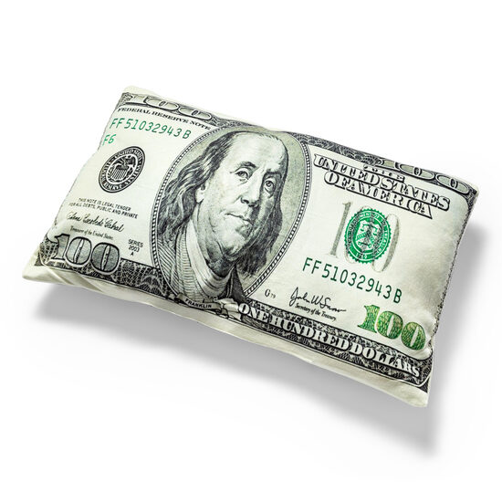 Spilvens 100 USD – dekoratīvs un ar humora piesitienu